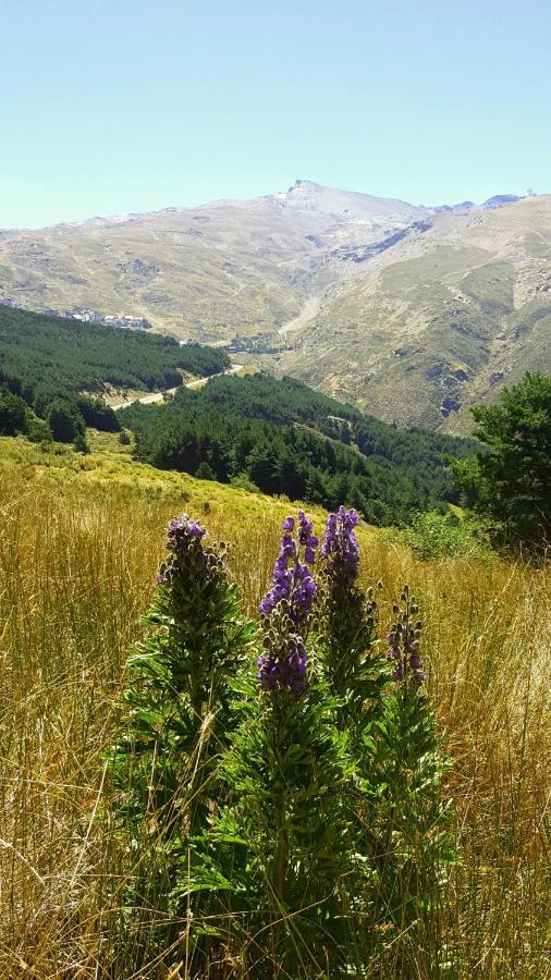 Appartamento Duplex Acogedor Con Vistas Y Garaje Opcional Sierra Nevada Esterno foto